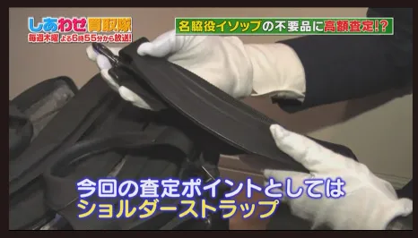 テレビ番組の画面キャプチャ
